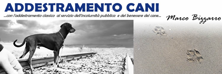 ... un viaggio, tutto da costruire, insieme...